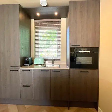 Zon In De Duinen By Droomvilla Holiday home *